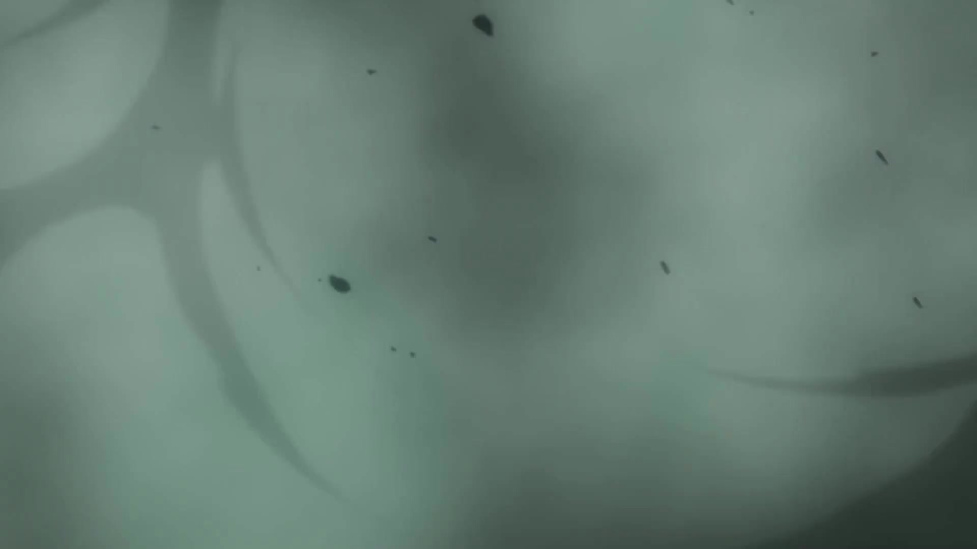 [Tsukyio Editing Resources] Itadori vs Mahito No Deadframes.mp4 Comp 61-10x-RIFE-RIFE4.0-239.7602fps (tsukyioxyz).mp4